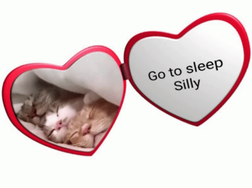 Go To Sleep Silly GIF - Go To Sleep Silly GIFs