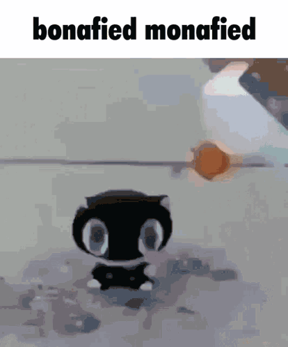 Bonafiedmonafied GIF - Bonafiedmonafied GIFs