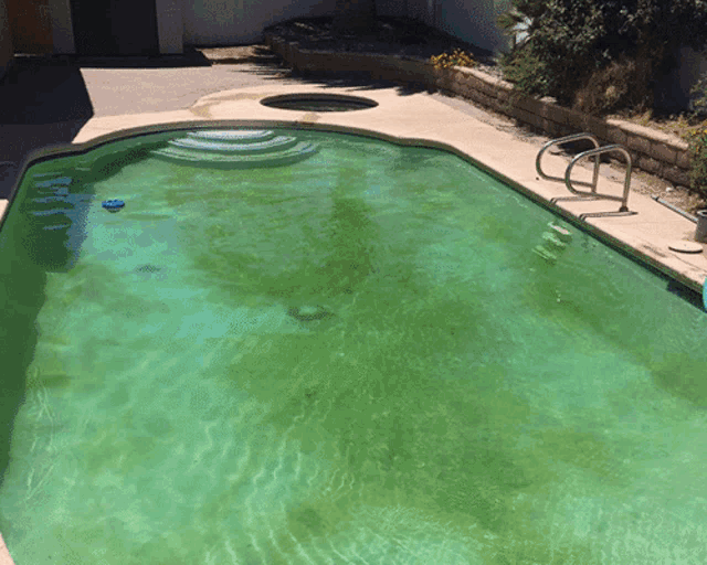 a green swimming pool with stairs and a blue float