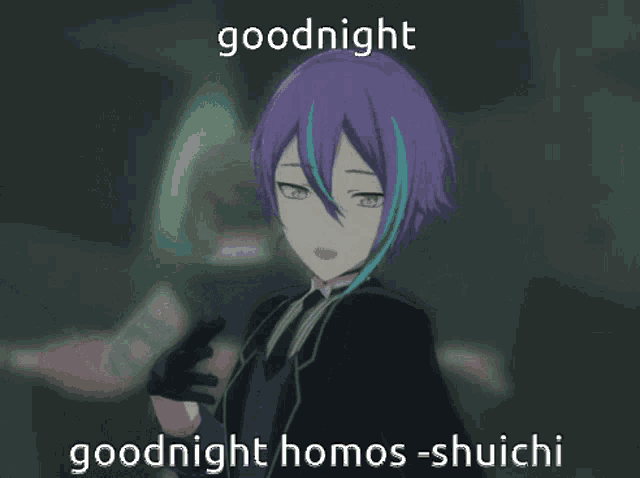 a purple haired anime character with the words goodnight homos-shiichi