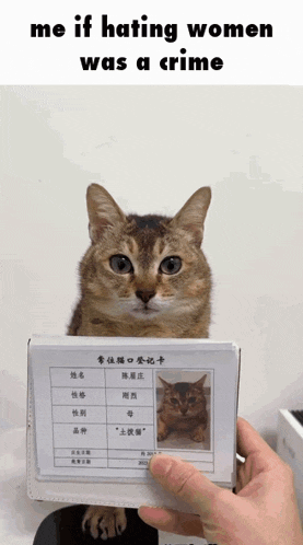 a person holding a cat 's id card with the caption " me if hating women was a crime "