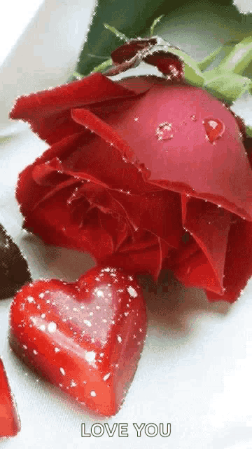 a red rose with water drops on it is next to two red hearts .