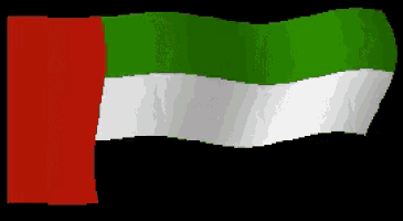 a green white and red flag is waving in the wind