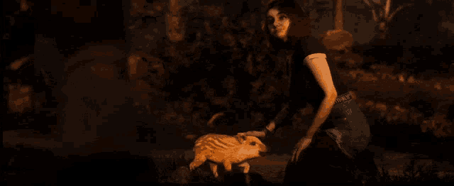 Abigail Abigail Blyg GIF