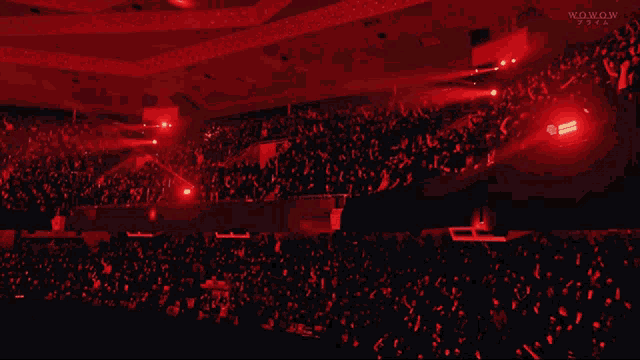 a large crowd of people in a stadium with the words wowow on the bottom right