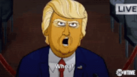 What Funny GIF - What Funny Trump GIFs