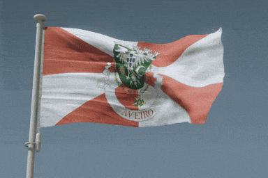 a red white and green flag with aveiro written on it