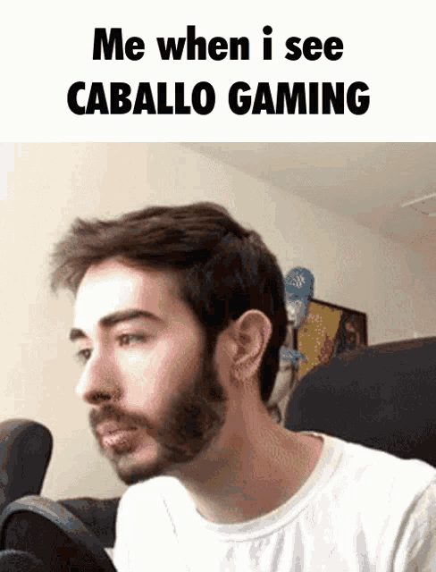 Penguinz0 Caballo Gaming GIF - Penguinz0 Caballo Gaming Caballo GIFs