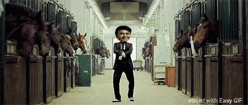 Gangnam Style Dancing GIF - Gangnam Style Dancing Funny GIFs