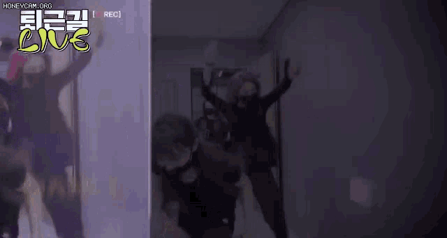 a group of people are dancing in a dark room in front of a wall .