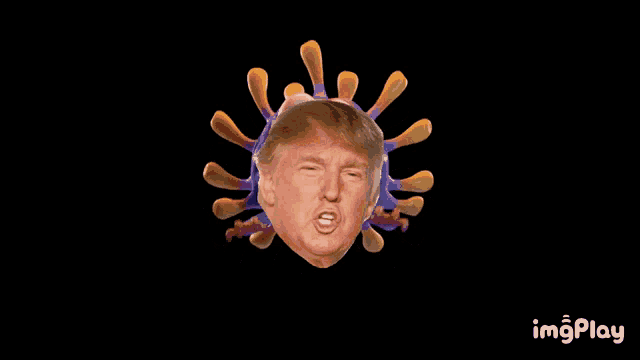 a cartoon of donald trump surrounded by a virus with imgplay written below it