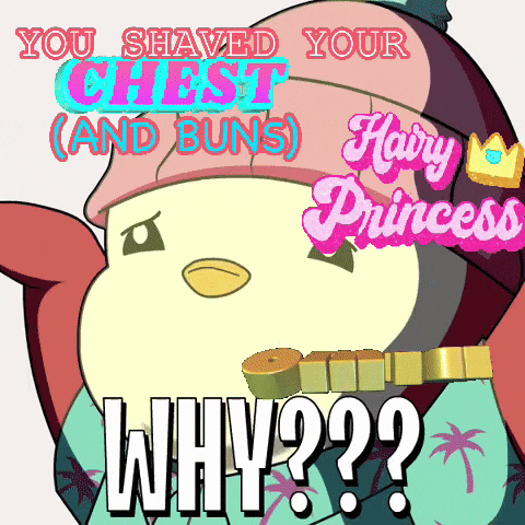 a picture of a penguin with the words " you shaved your chest and buns " on it