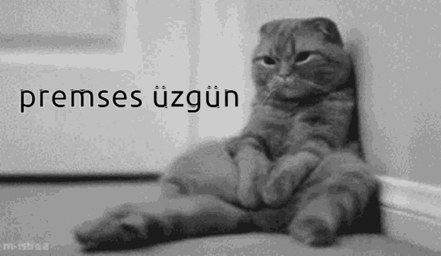 a cat leaning against a wall with the words " premises uzgun " written above it