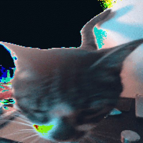 Meth Cat GIF - Meth Cat Lsd GIFs