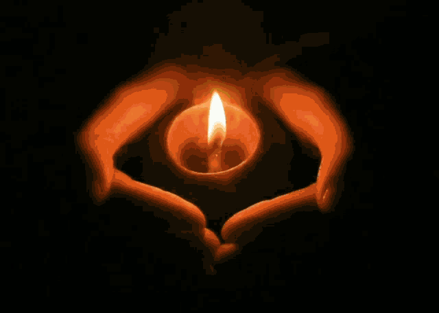 Lophiu Ibunegara Candle GIF