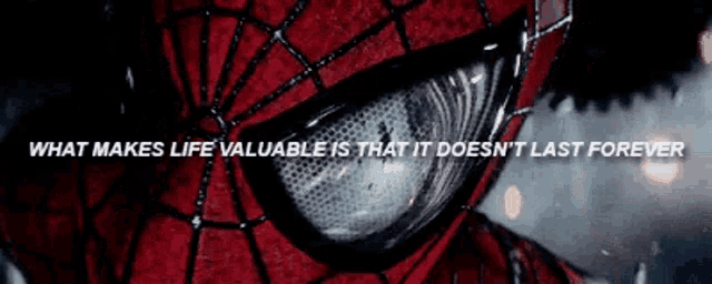 a close up of a spider man mask with a quote that says what makes life valuable