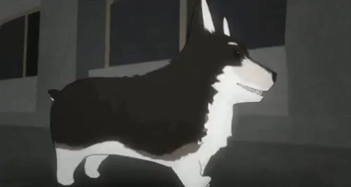 Excited Rwby GIF - Excited Rwby Zwei GIFs