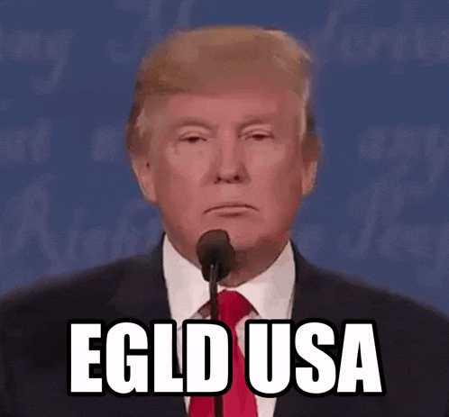donald trump speaking into a microphone with the words " egld usa " on the bottom