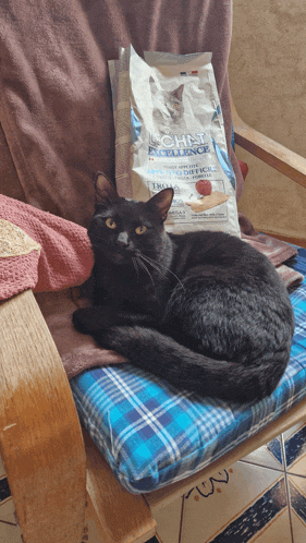 a black cat is laying on a chair next to a bag of richelieu excellence cat food