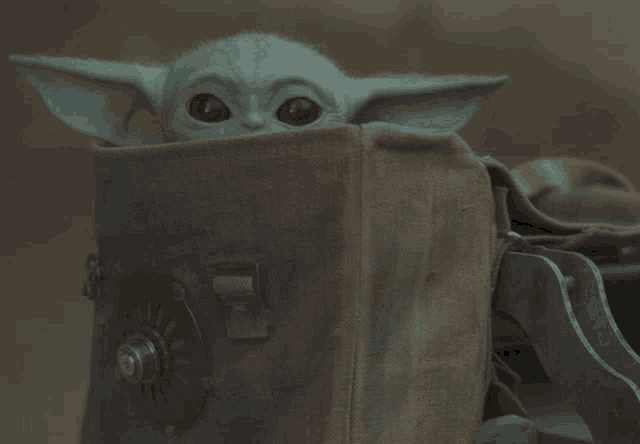 a baby yoda looking out of a bag with a lock on it