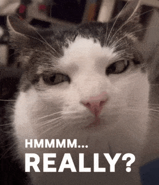 a close up of a cat 's face with the words " hmmmm... really " below it
