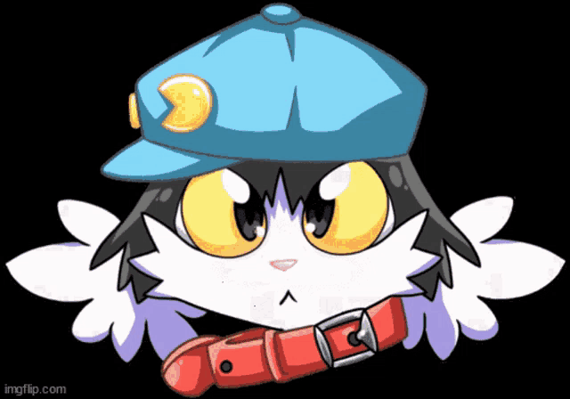 a cat wearing a blue hat and a red collar