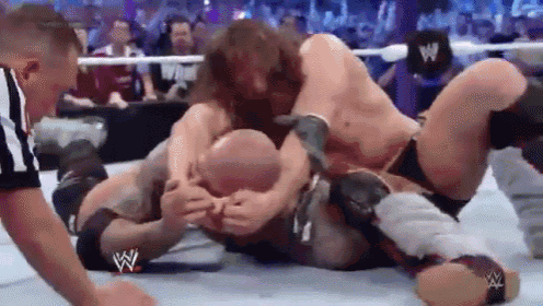 Yes GIF - Wrestling Wwe Fight GIFs