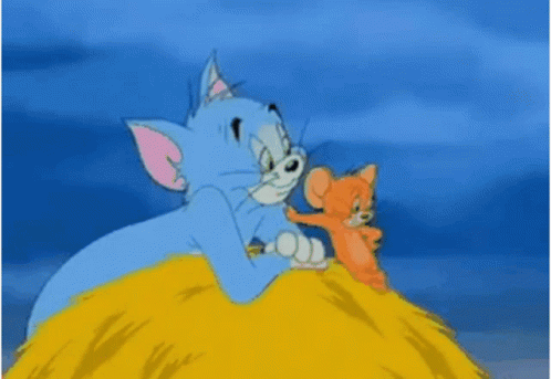 Tom And Jerry Mouse And Cat GIF - Tom And Jerry Mouse And Cat Cartoon GIFs
