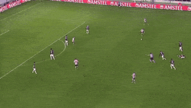 a soccer game is being played on a field with amstel ads on the sidelines