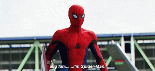 Spiderman Superhero GIF - Spiderman Superhero Big Fan GIFs