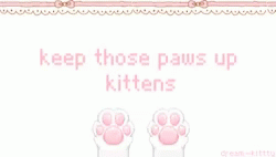Adorable Cat GIF - Adorable Cat Paws GIFs