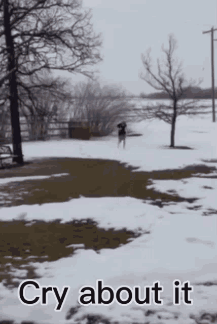 a picture of a snowy field with the words cry about it