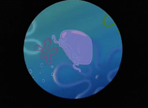 Spongebob Jellyfish GIF - Spongebob Jellyfish GIFs