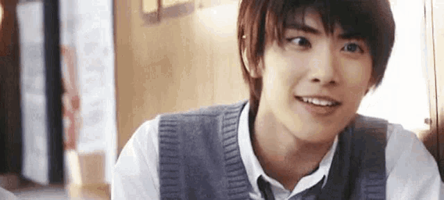 a close up of a young man wearing a vest and tie .