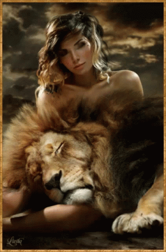Lioness Roar GIF - Lioness Roar Brown GIFs