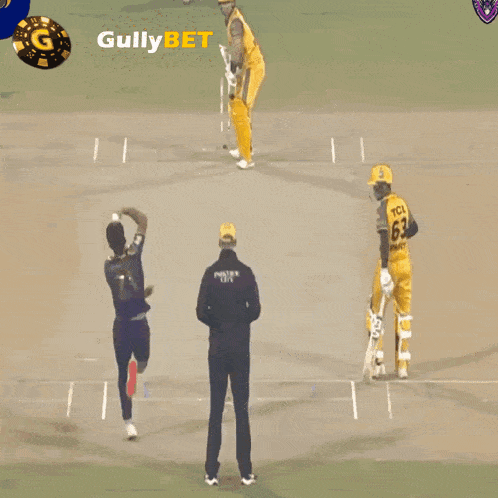 Gullybet Cricket Gifs GIF - Gullybet Cricket Gifs Cricket GIFs