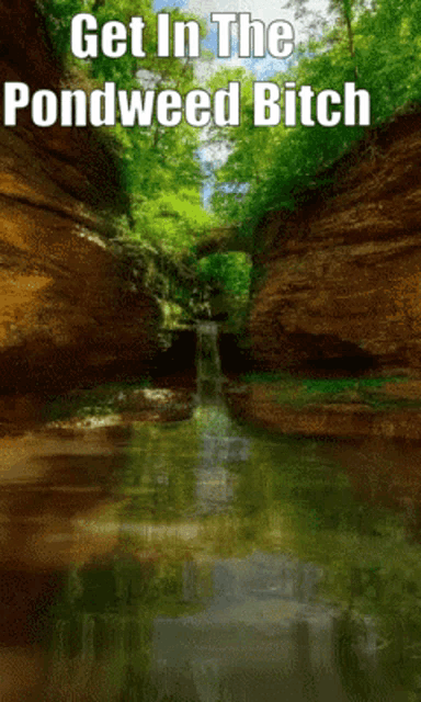 a picture of a waterfall with the words get in the pondweed bitch