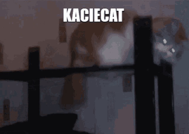 kaciecat is written in white on a dark background