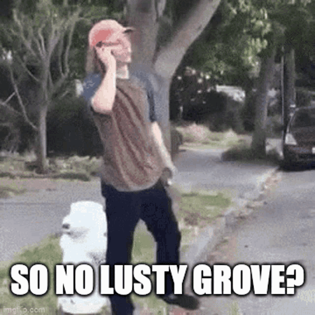 Nogrove No Lusty Grove GIF - Nogrove No Lusty Grove Lusty Grove GIFs