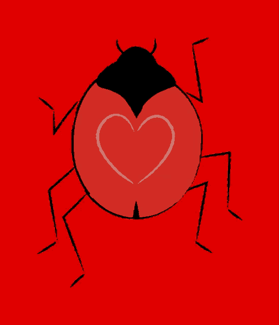 a ladybug with a heart on its back