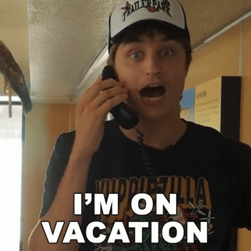 Im On Vacation Danny Mullen GIF