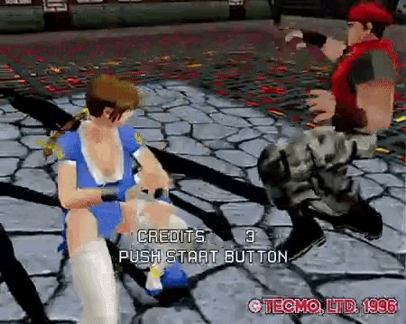 Dead Or Alive Video Games GIF - Dead Or Alive Video Games Battle GIFs