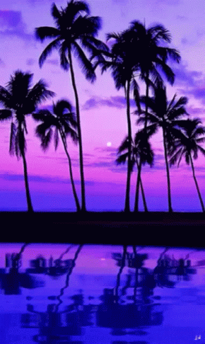 Purple Beach GIF - Purple Beach GIFs