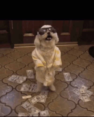 Money Doggo GIF - Money Doggo Doge GIFs