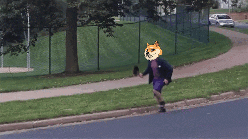 a person with a doge face on their head is running down the street