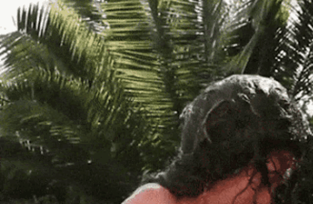 a woman is standing in front of a palm tree with her hair in a braid .