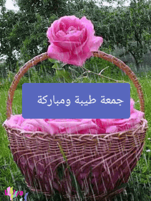 a picture of a basket of pink roses with arabic writing on it