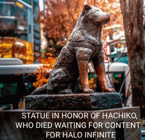 Halo Hachiko GIF - Halo Hachiko GIFs