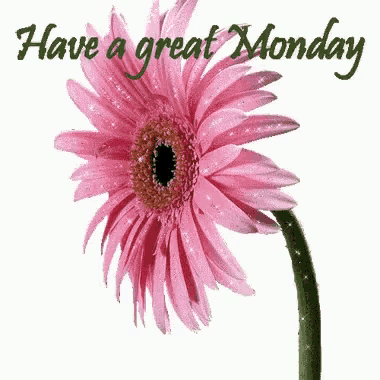 a pink flower with the words have a great monday