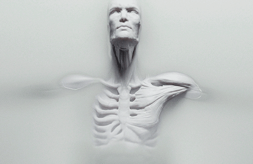 a statue of a man 's torso with a face visible